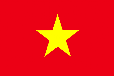Vietnam International Airports