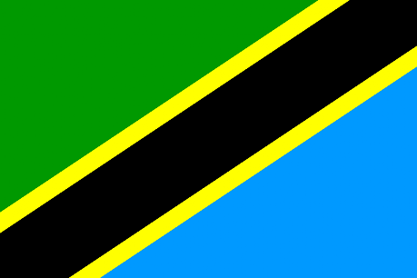 Tanzania International Airports