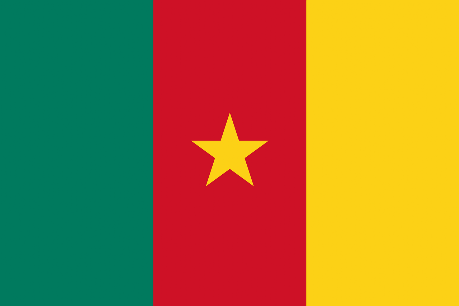 Cameroon International Airports